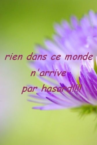 belle phrase