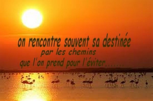 jolie phrase sur une rencontre