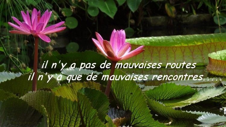 mauvaises rencontres net